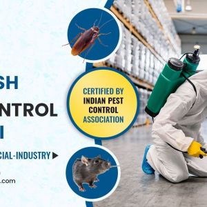 Residential & Commercial Pest Control Services in Chennai - Aavinashpestcontrol.com